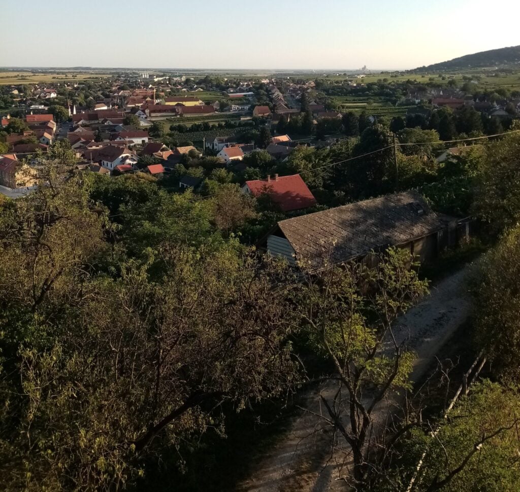Villány, la vera patria del Cabernet Franc