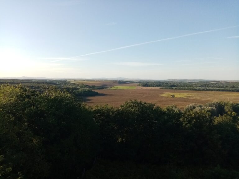Fields and vineyards on the slopes north of Villány