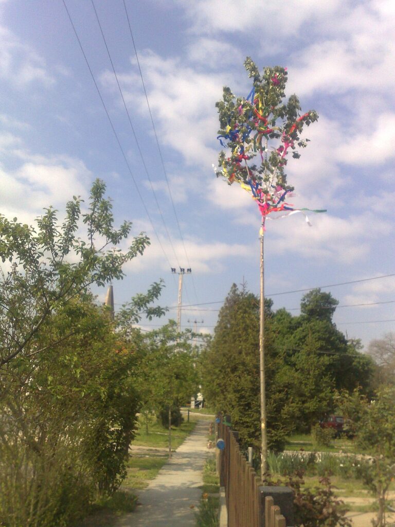 A tall decorated Hungarian maypole hung with ribbons