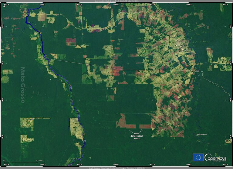 Cleared forest land in Mato Grosso, Brazil