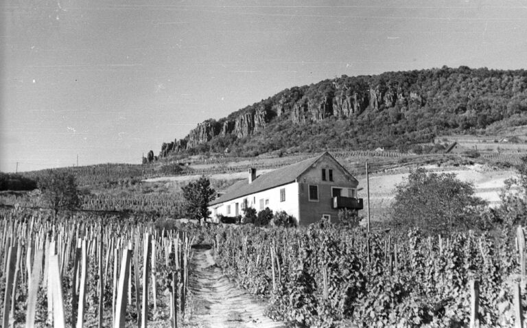 Badacsony and Lake Balaton