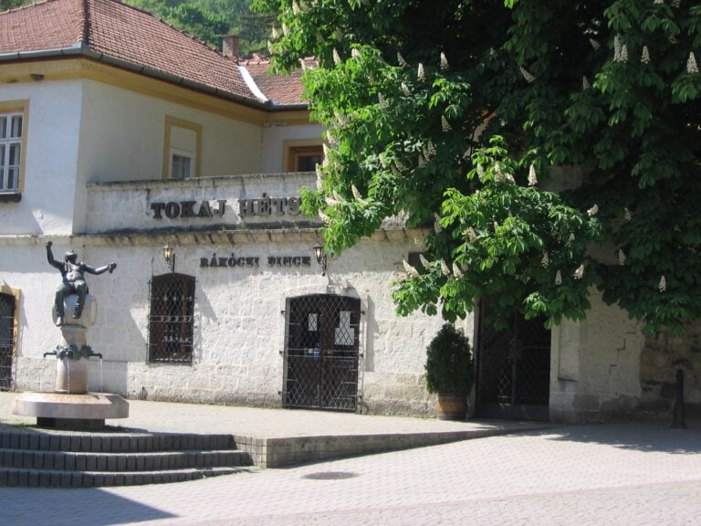 Historic Rákóczi wine cellar in Tokaj