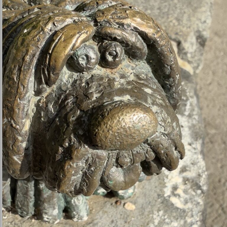 Close-up of a shaggy-faced little bronze dog statue.